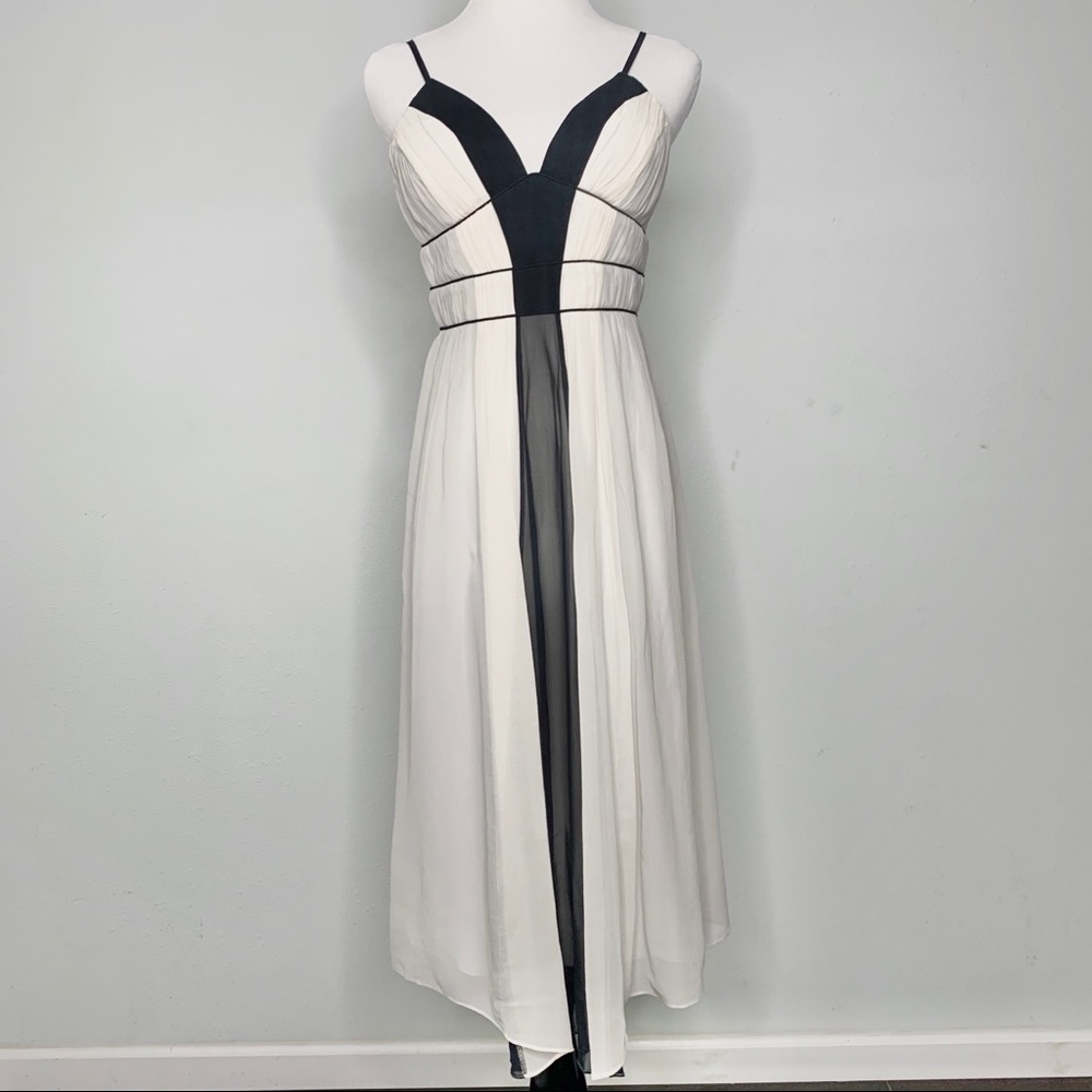 BCBG Black & White Dress